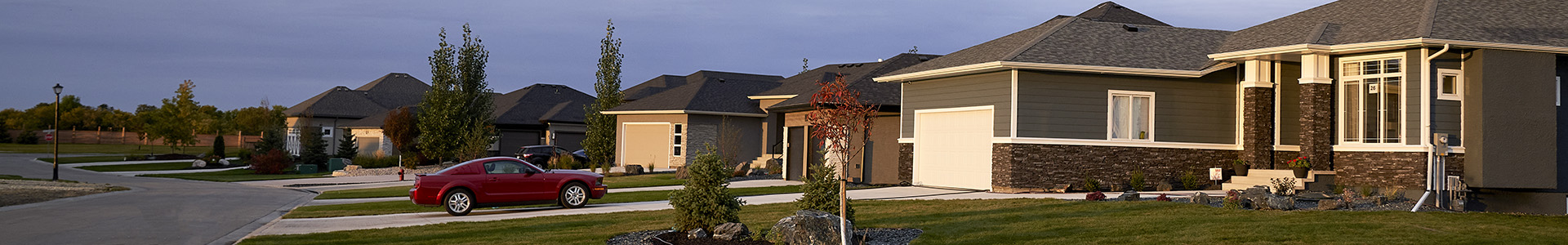 Taylor Farm homes on streetscape