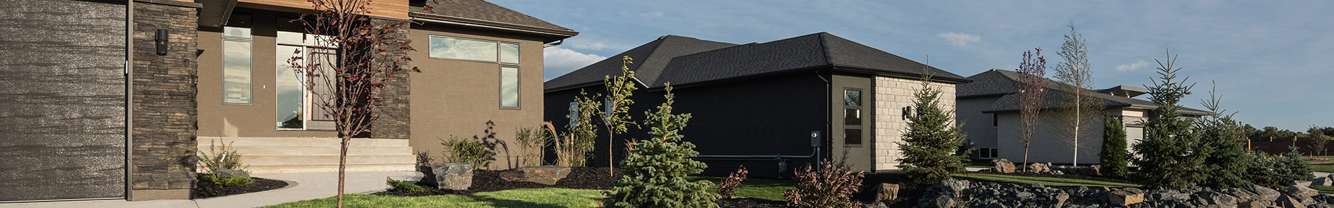 Taylor Farm homes on streetscape