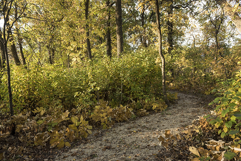 EarthDay-Trails EarthDay-Trails